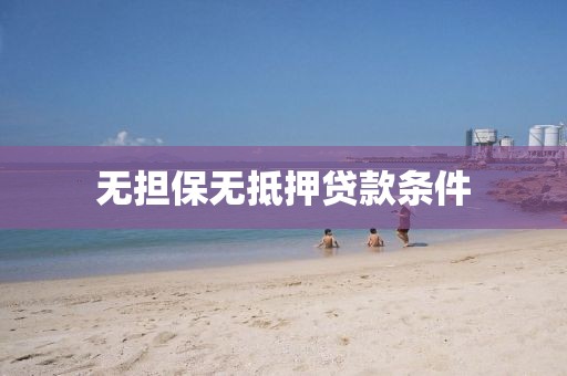 无担保无抵押贷款条件