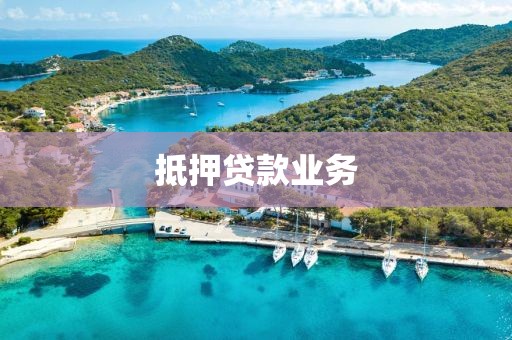 抵押贷款业务