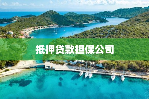抵押贷款担保公司