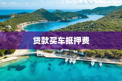 贷款买车抵押费