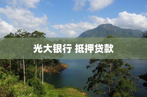 光大银行 抵押贷款