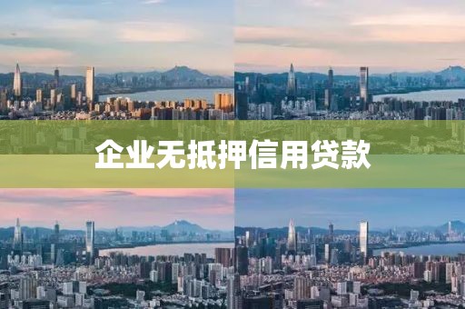 企业无抵押信用贷款