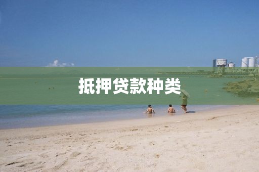抵押贷款种类