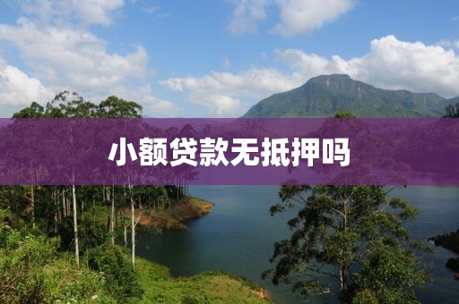 小额贷款无抵押吗
