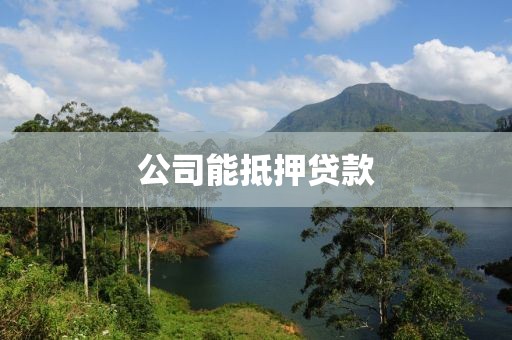 公司能抵押贷款