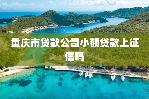 重庆市贷款公司小额贷款上征信吗
