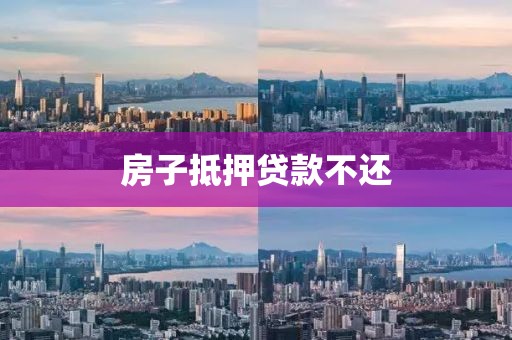 房子抵押贷款不还