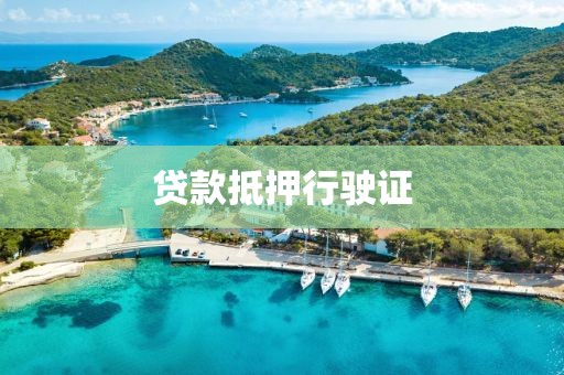 贷款抵押行驶证