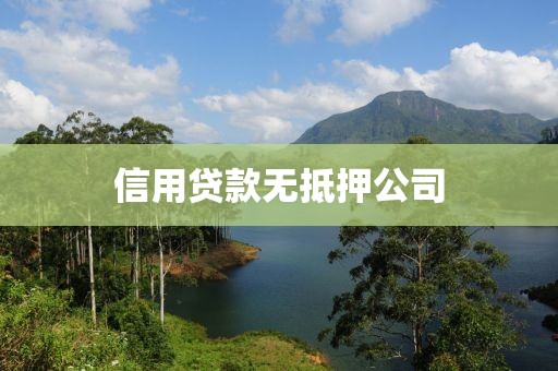 信用贷款无抵押公司