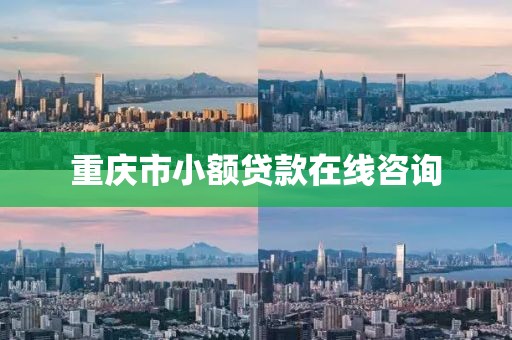 重庆市小额贷款在线咨询
