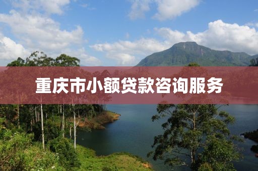 重庆市小额贷款咨询服务