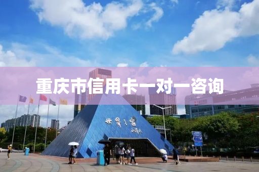 重庆市信用卡一对一咨询