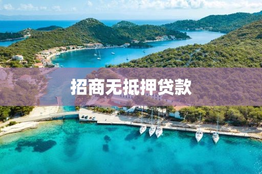 招商无抵押贷款