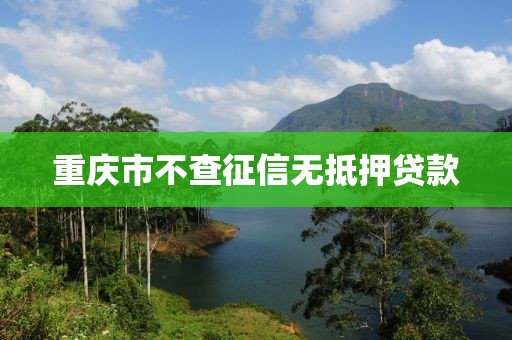 重庆市不查征信无抵押贷款
