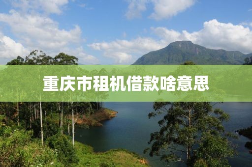 重庆市租机借款啥意思
