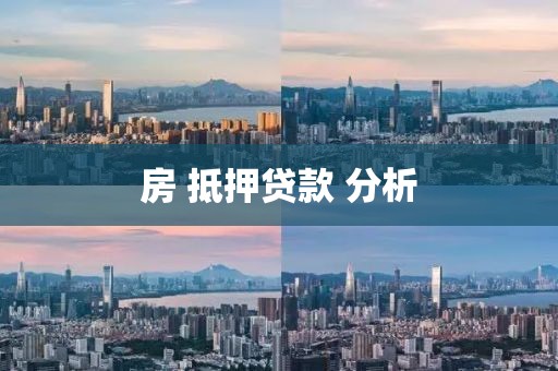 房 抵押贷款 分析