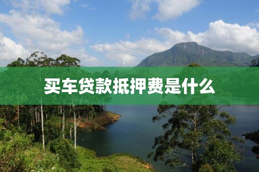 买车贷款抵押费是什么