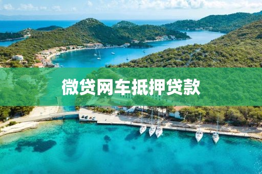微贷网车抵押贷款