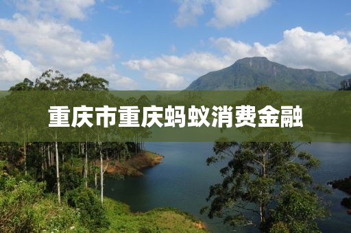 重庆市重庆蚂蚁消费金融