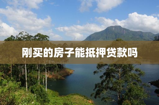 刚买的房子能抵押贷款吗
