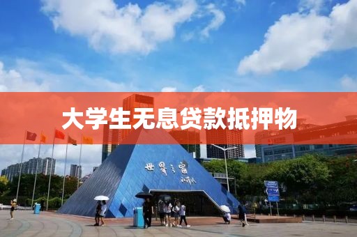 大学生无息贷款抵押物