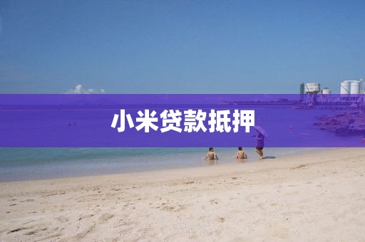 小米贷款抵押