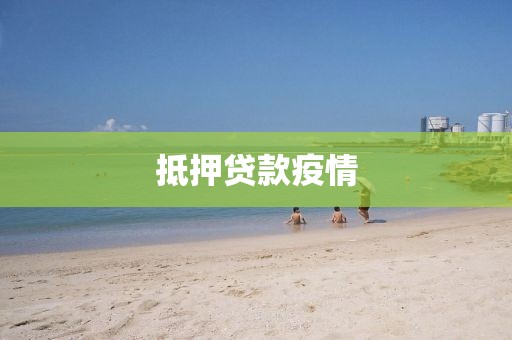 抵押贷款疫情