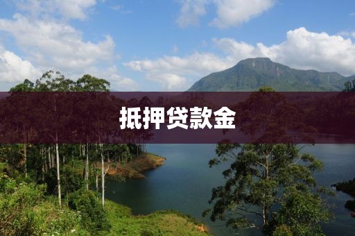 抵押贷款金