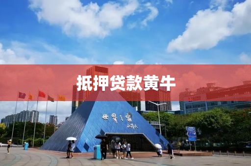 抵押贷款黄牛