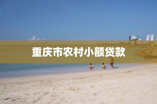 重庆市农村小额贷款