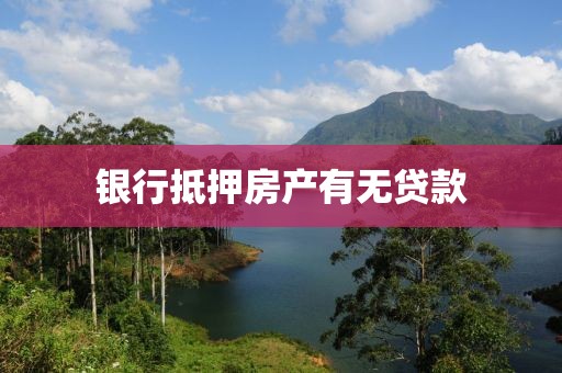 银行抵押房产有无贷款