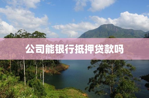 公司能银行抵押贷款吗