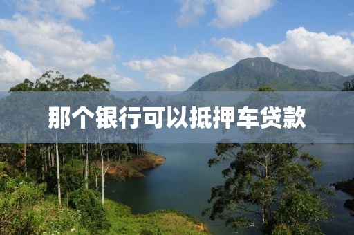 那个银行可以抵押车贷款