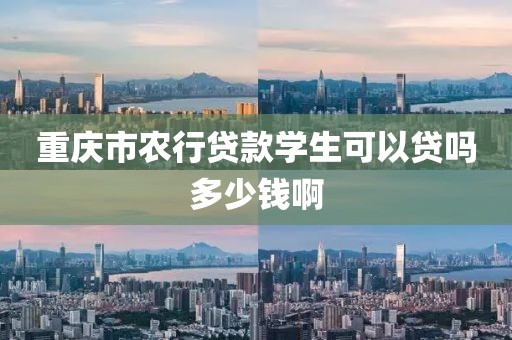 重庆市农行贷款学生可以贷吗多少钱啊