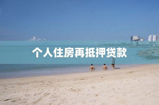 个人住房再抵押贷款