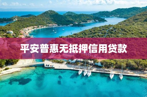 平安普惠无抵押信用贷款