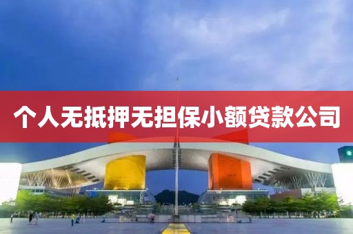 个人无抵押无担保小额贷款公司