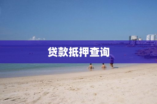 贷款抵押查询