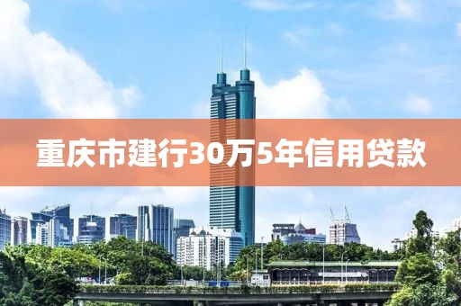 重庆市建行30万5年信用贷款