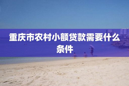 重庆市农村小额贷款需要什么条件