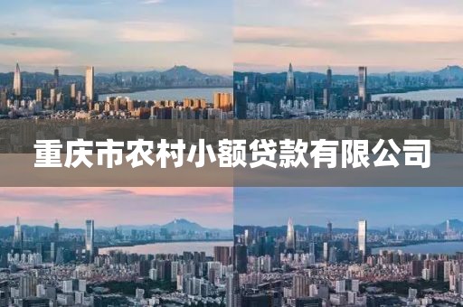 重庆市农村小额贷款有限公司