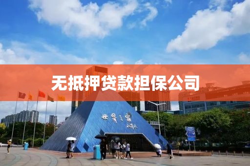 无抵押贷款担保公司