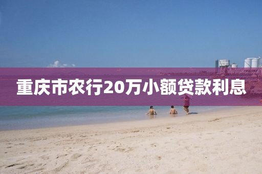 重庆市农行20万小额贷款利息