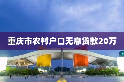重庆市农村户口无息贷款20万