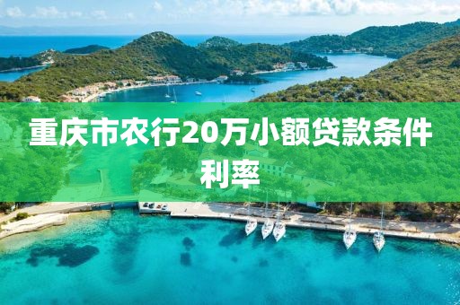 重庆市农行20万小额贷款条件利率