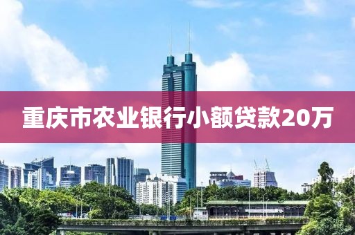 重庆市农业银行小额贷款20万