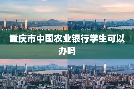 重庆市中国农业银行学生可以办吗