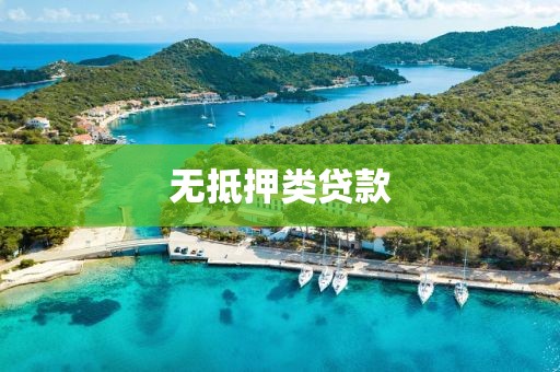 无抵押类贷款