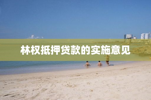 林权抵押贷款的实施意见