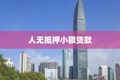 人无抵押小额贷款